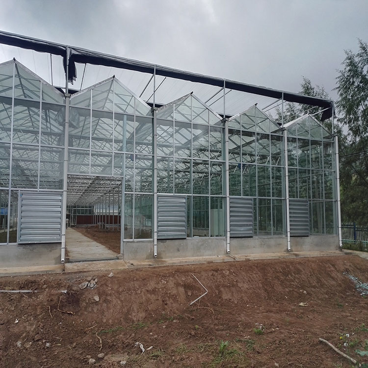 Glass Greenhouse 4 